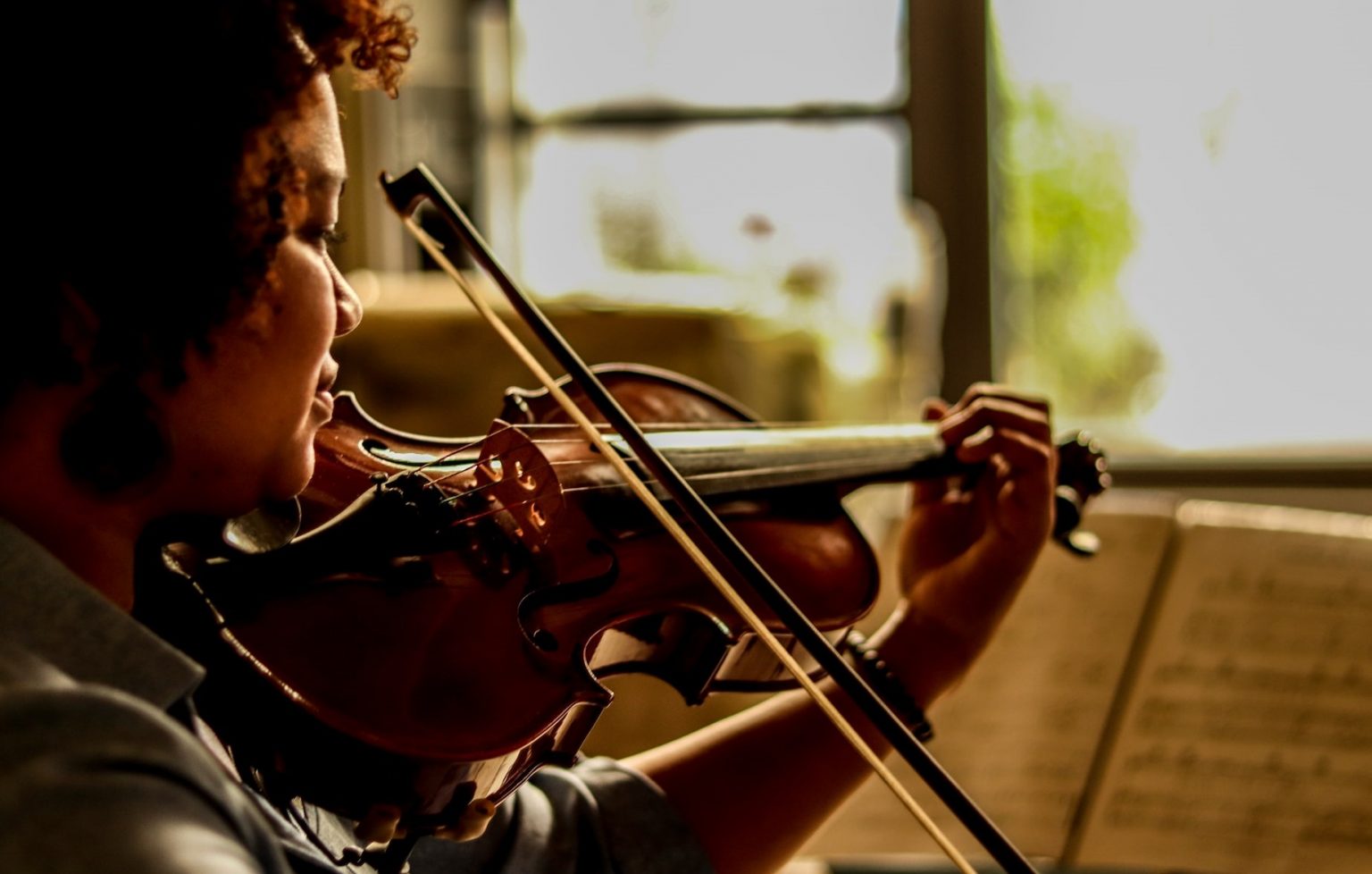Is Violin Hard To Learn? (11 Things You Can Expect)
